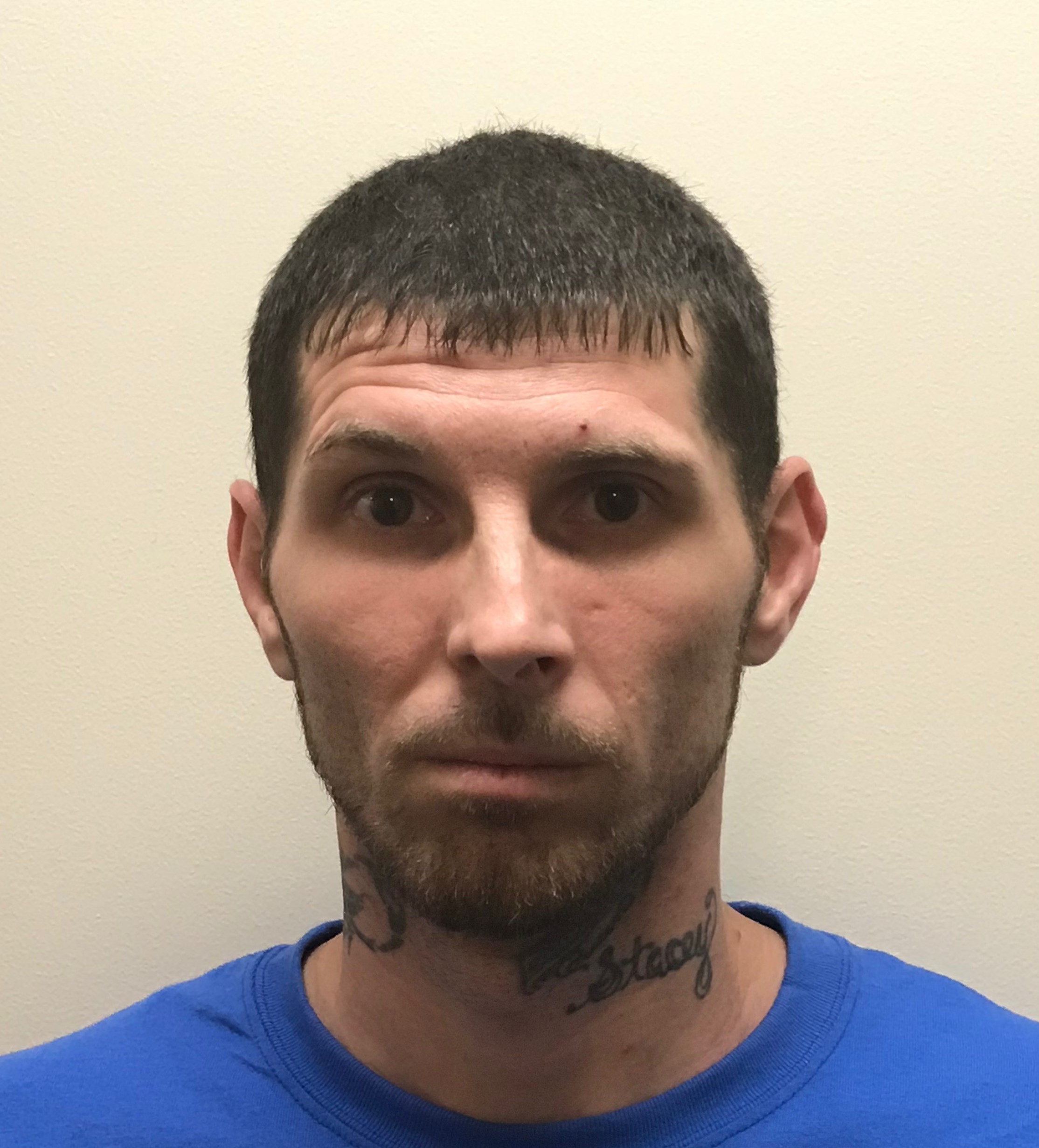 Campbell County Kentucky Inmate Search 65 - 4xpibhd